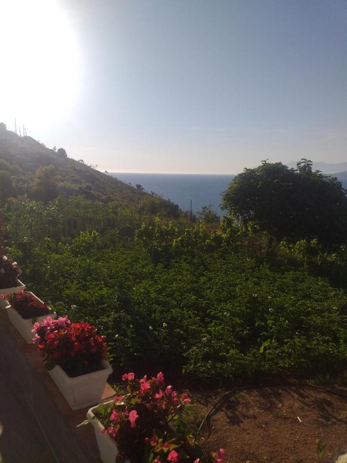 Grand Seaview Apartments Ksamil Luaran gambar